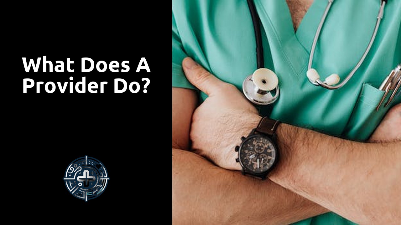 What does a provider do?